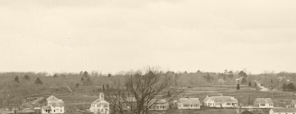 Walking Westport's Woods